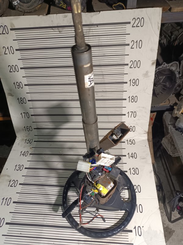 Руль, 10000 рублей, Пешки