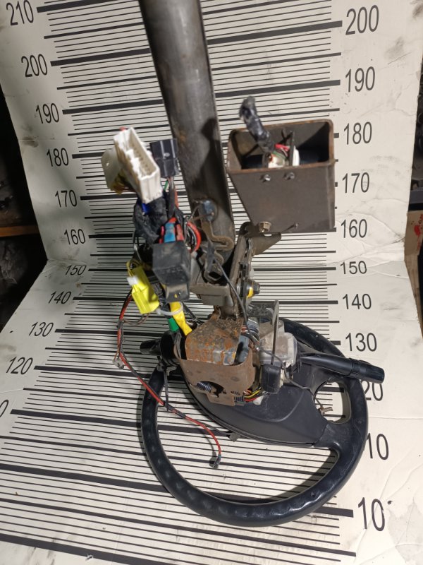 Руль, 10000 рублей, Пешки