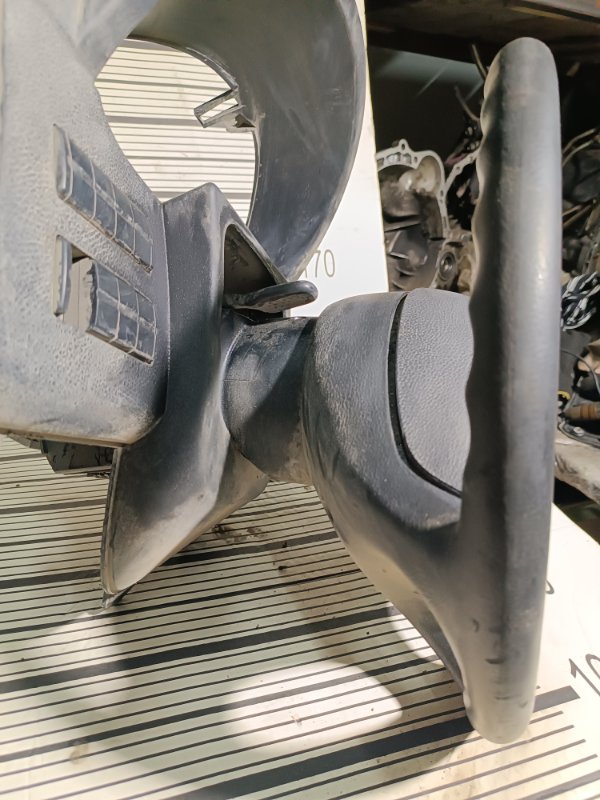 Руль, 15000 рублей, Пешки