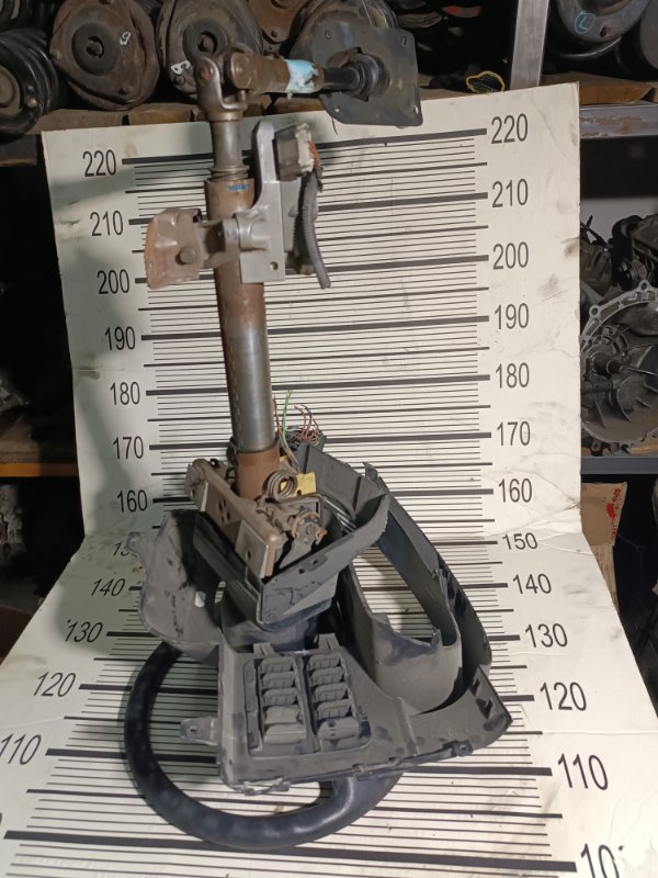 Руль, 15000 рублей, Пешки