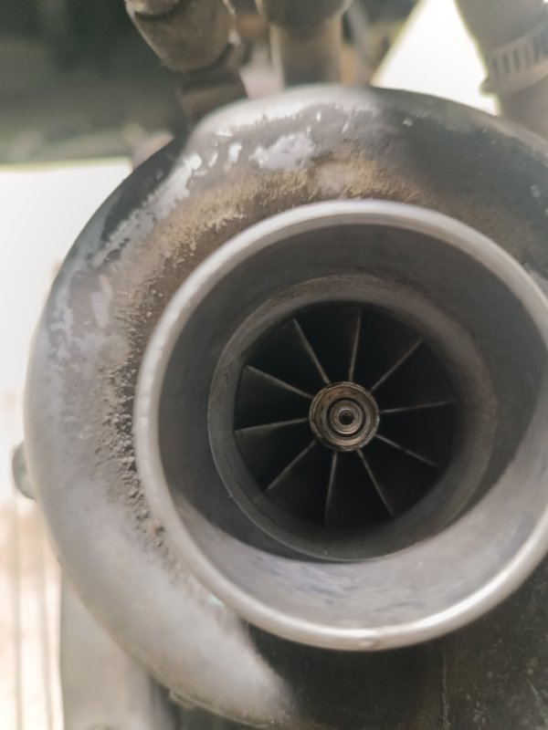 Турбина, 15000 рублей, Пешки