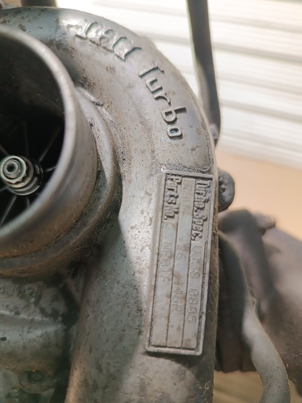 Турбина, 15000 рублей, Пешки