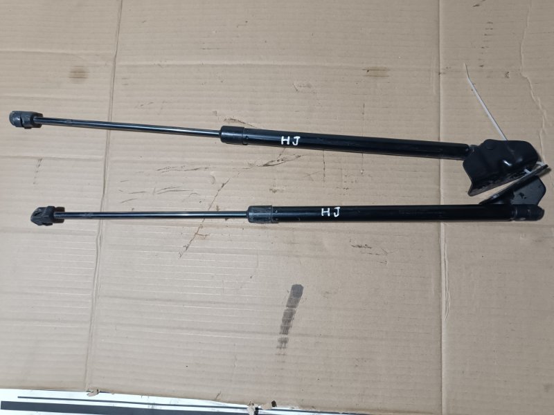 Амортизатор крышки багажника, 2500 рублей, Пешки