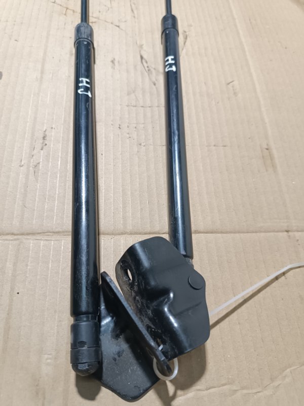 Амортизатор крышки багажника, 2500 рублей, Пешки