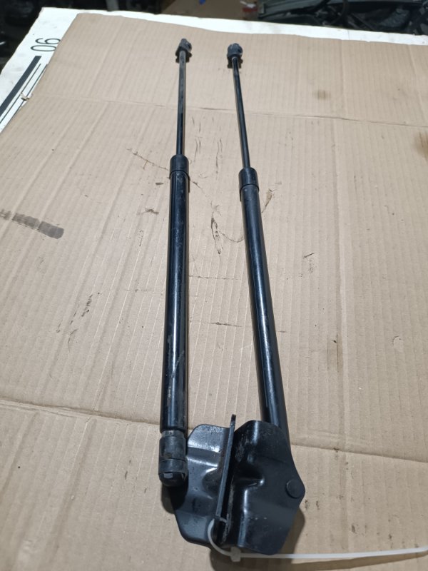 Амортизатор крышки багажника, 2500 рублей, Пешки