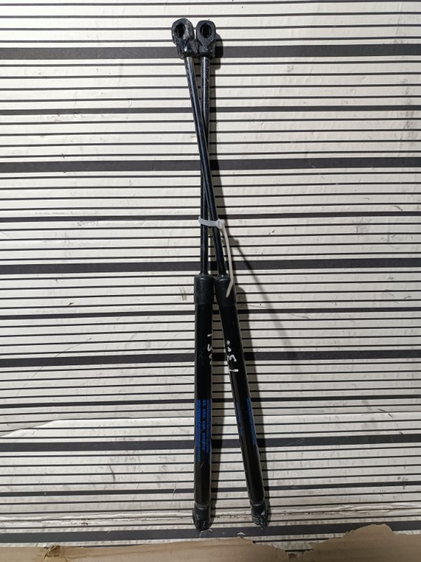 Амортизатор капота, 5000 рублей, Пешки