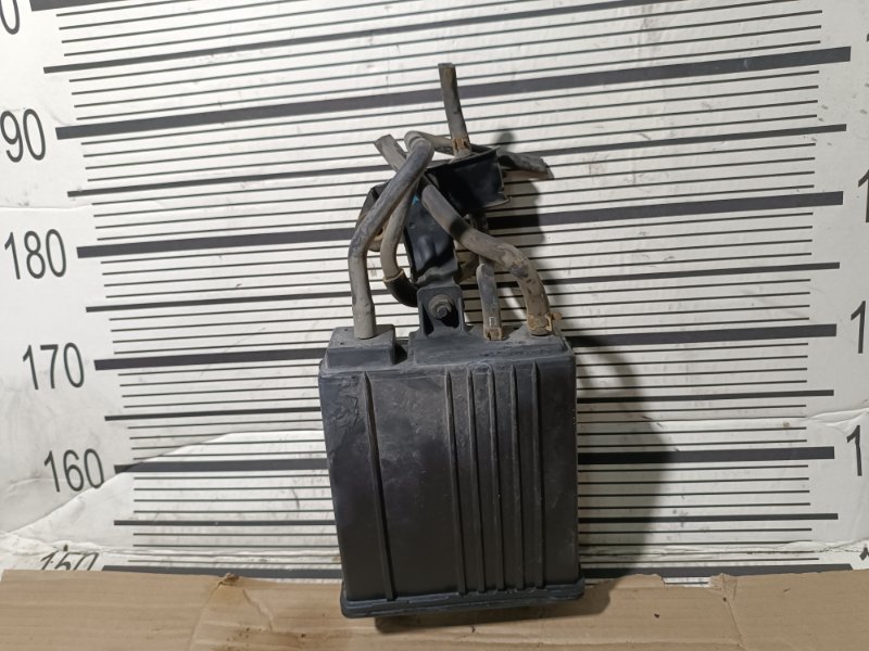 Фильтр паров топлива, 1000 рублей, Пешки