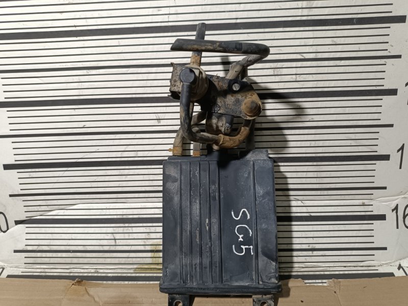 Фильтр паров топлива, 1000 рублей, Пешки