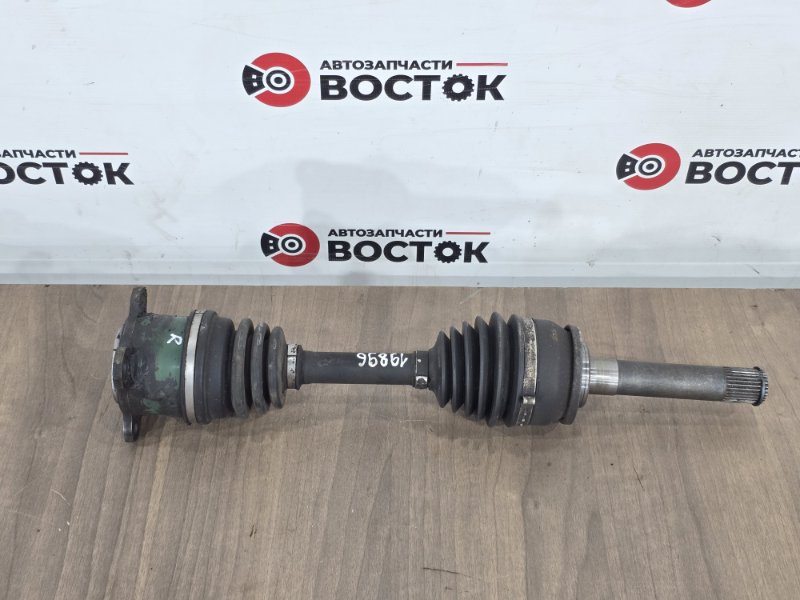 Привод, 7000 рублей, Пешки