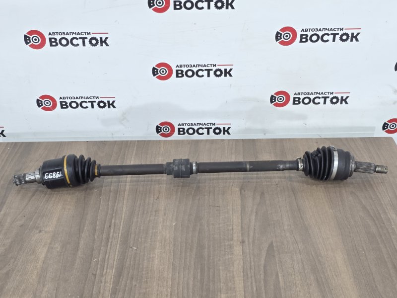 Привод, 4000 рублей, Пешки