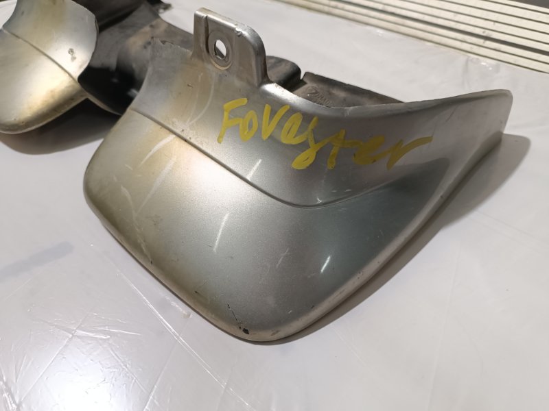 Брызговик, 2500 рублей, Пешки