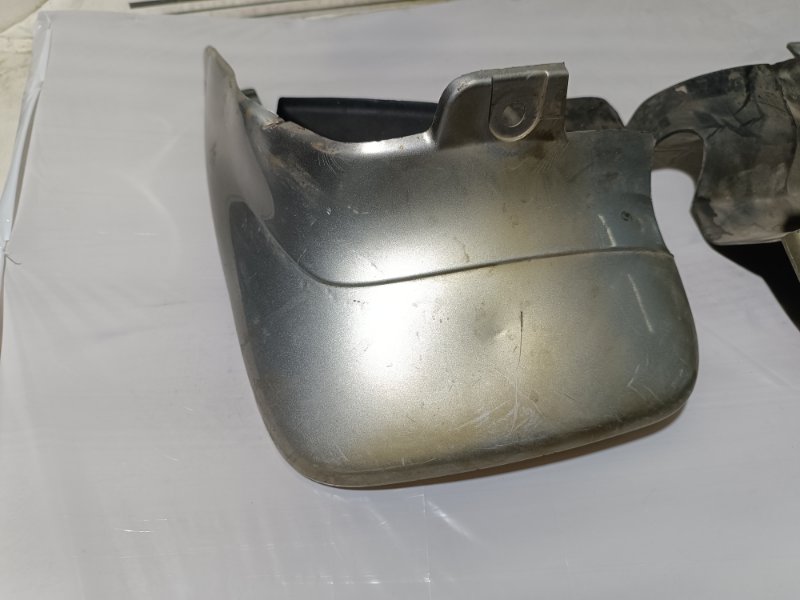 Брызговик, 2500 рублей, Пешки