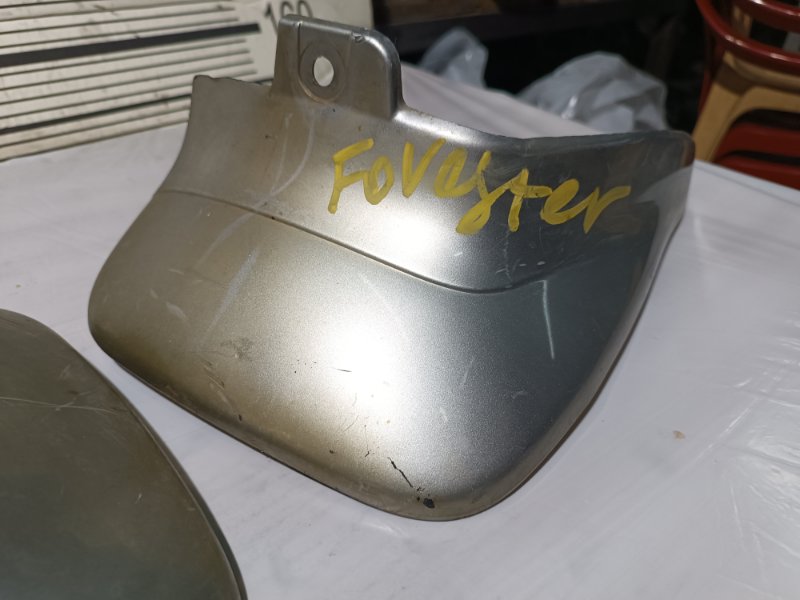 Брызговик, 2500 рублей, Пешки