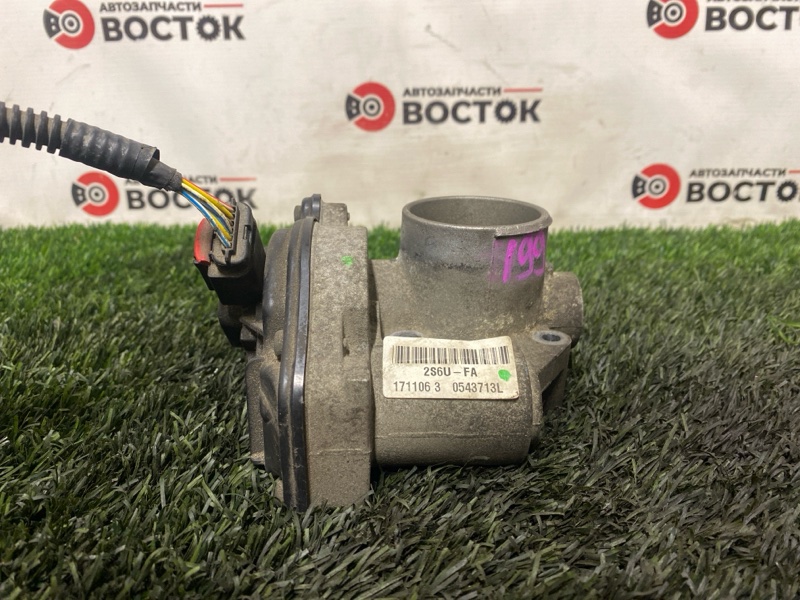 Дроссельная заслонка, 3000 рублей, Пешки