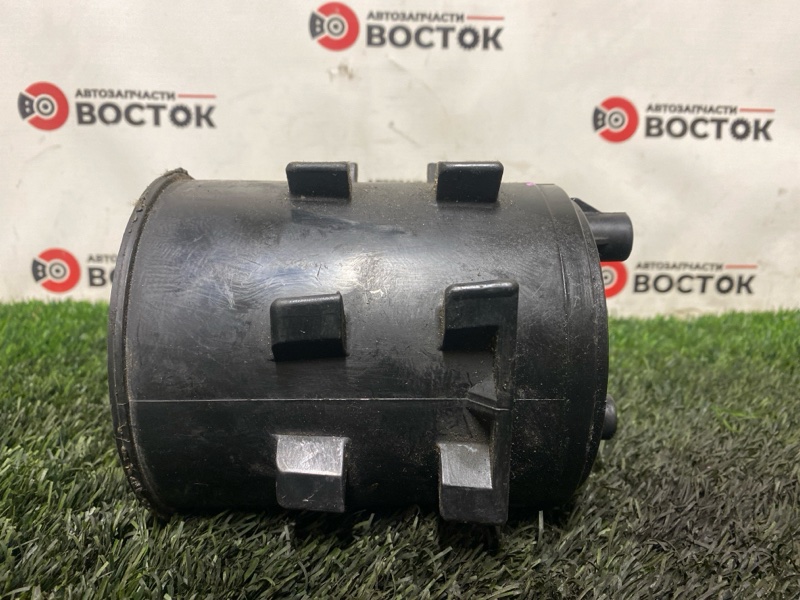 Фильтр паров топлива, 1000 рублей, Пешки