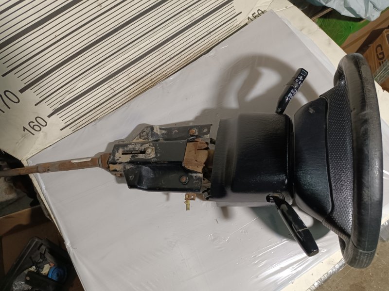 Руль, 12000 рублей, Пешки