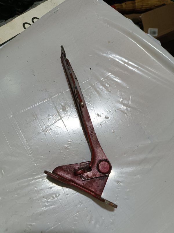 Петля капота, 1000 рублей, Пешки