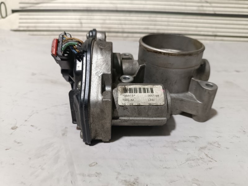 Дроссельная заслонка, 6000 рублей, Пешки