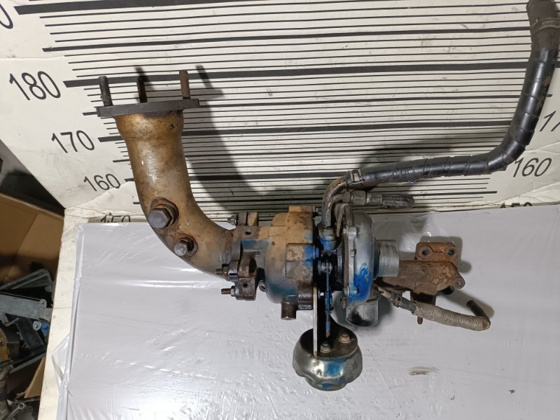 Турбина, 15000 рублей, Пешки