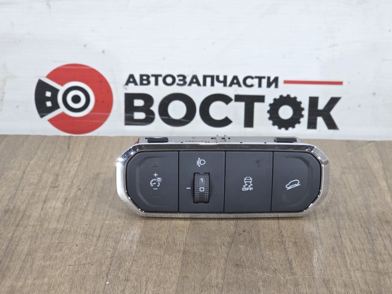 Кнопка курсовой устойчивости, 2000 рублей, Пешки