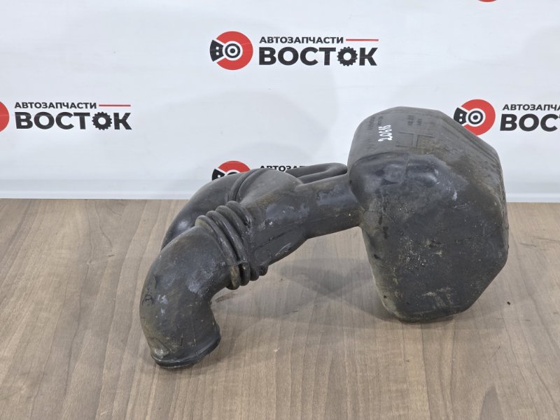 Резонатор воздушного фильтра, 1000 рублей, Пешки