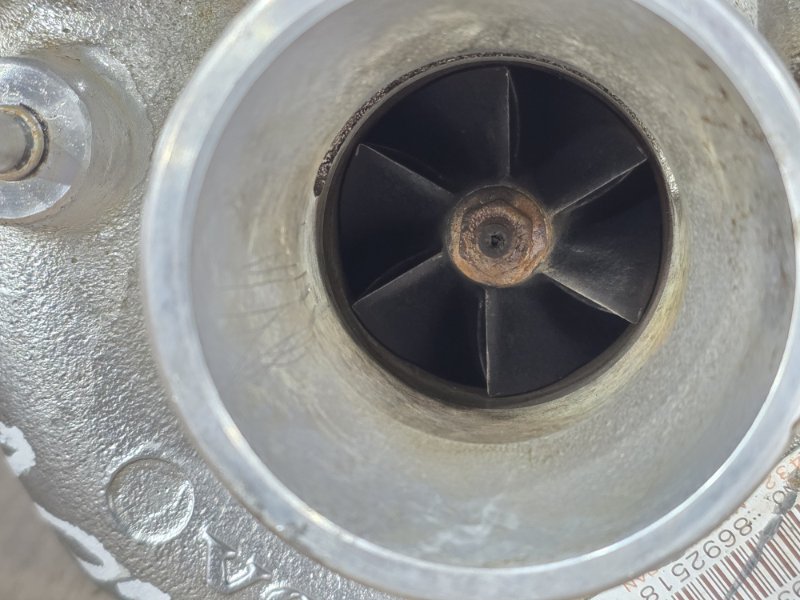 Турбина, 20000 рублей, Пешки