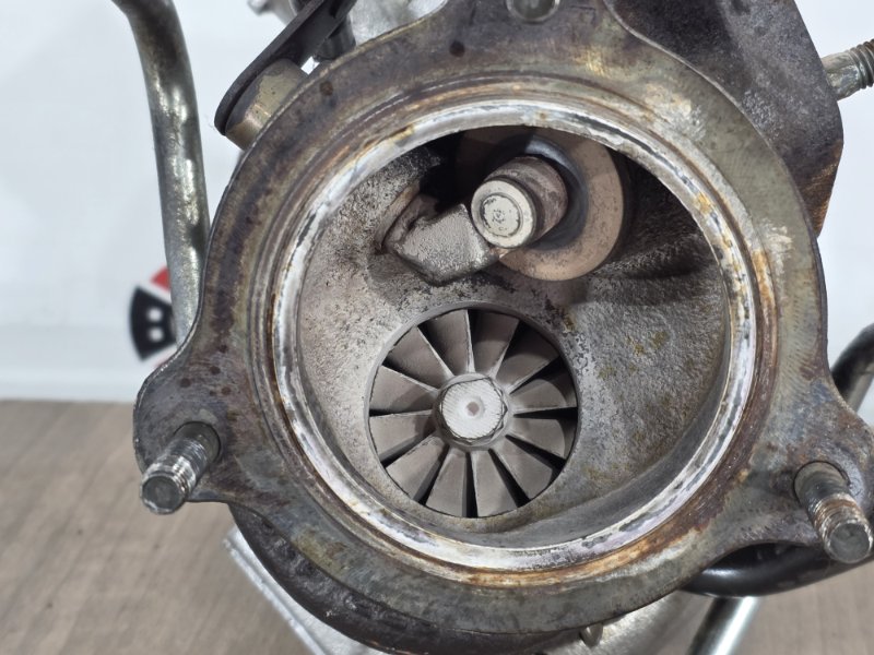 Турбина, 20000 рублей, Пешки