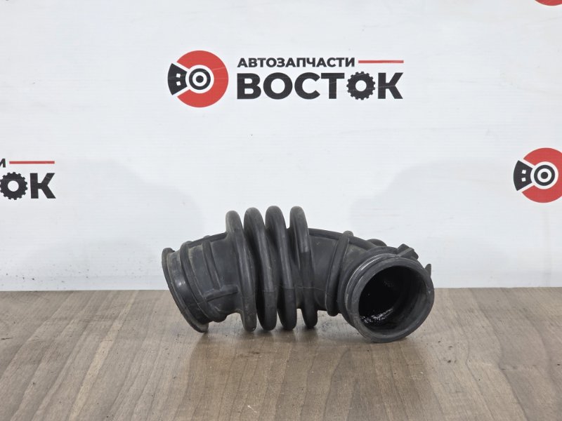 Патрубок дроссельной заслонки, 1000 рублей, Пешки