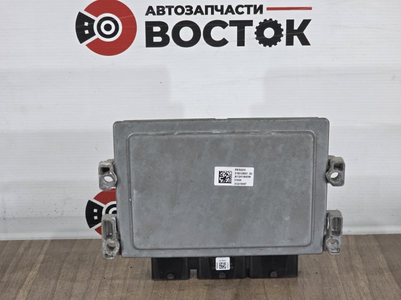 Блок управления двигателем, 6500 рублей, Пешки