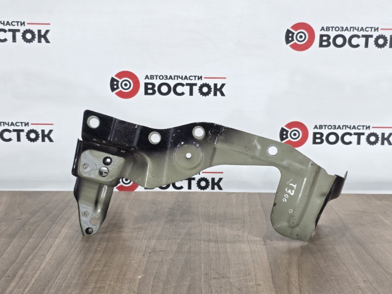 Кронштейн крыла, 5000 рублей, Пешки