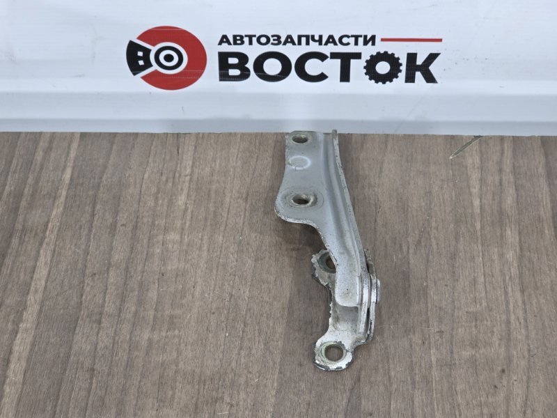 Петля капота, 1000 рублей, Пешки