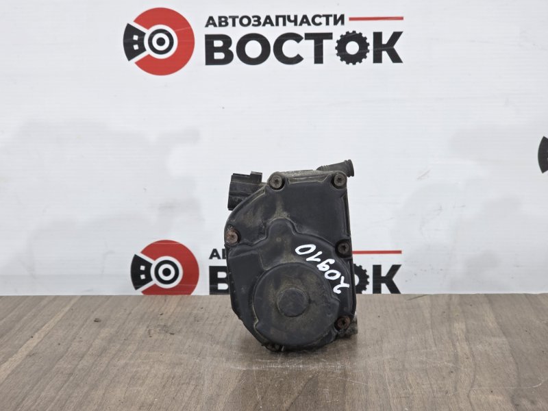 Дроссельная заслонка, 3000 рублей, Пешки