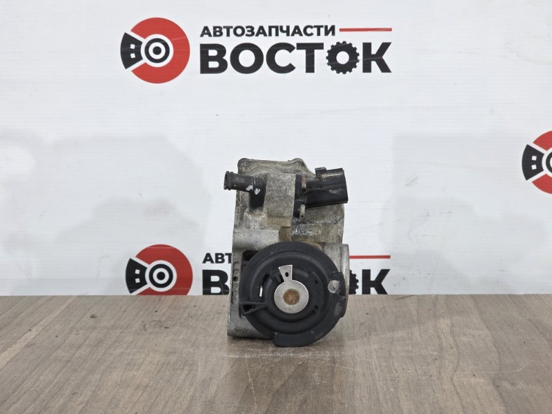 Дроссельная заслонка, 3000 рублей, Пешки