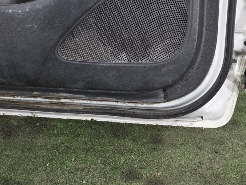 Дверь, 55000 рублей, Пешки