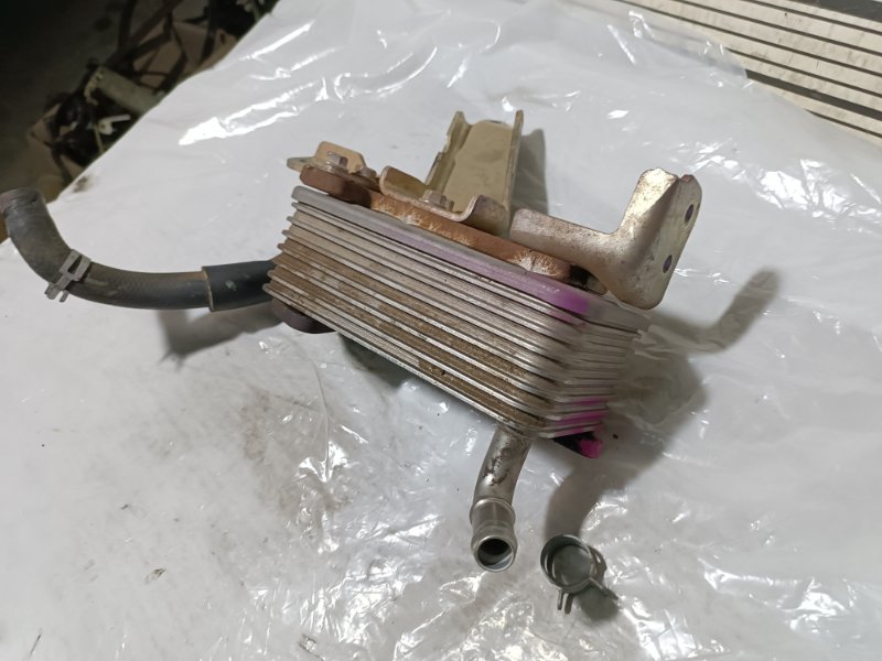 Радиатор системы EGR, 2000 рублей, Пешки