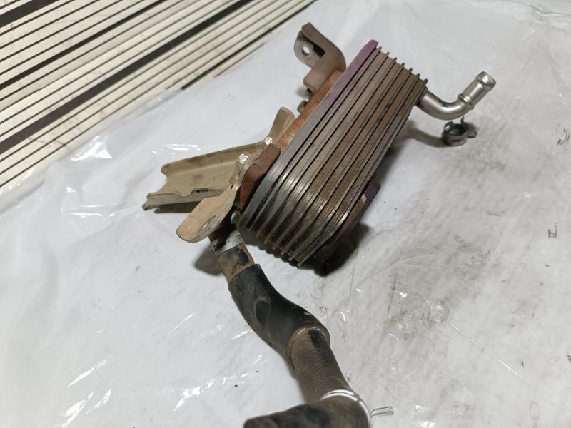 Радиатор системы EGR, 2000 рублей, Пешки