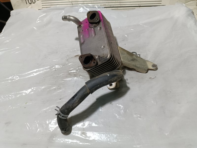 Радиатор системы EGR, 2000 рублей, Пешки