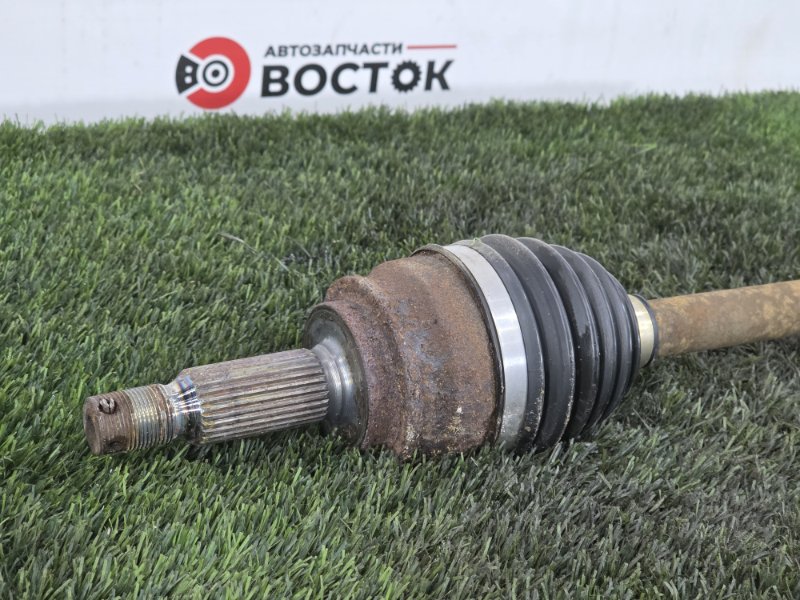 Привод, 3000 рублей, Пешки