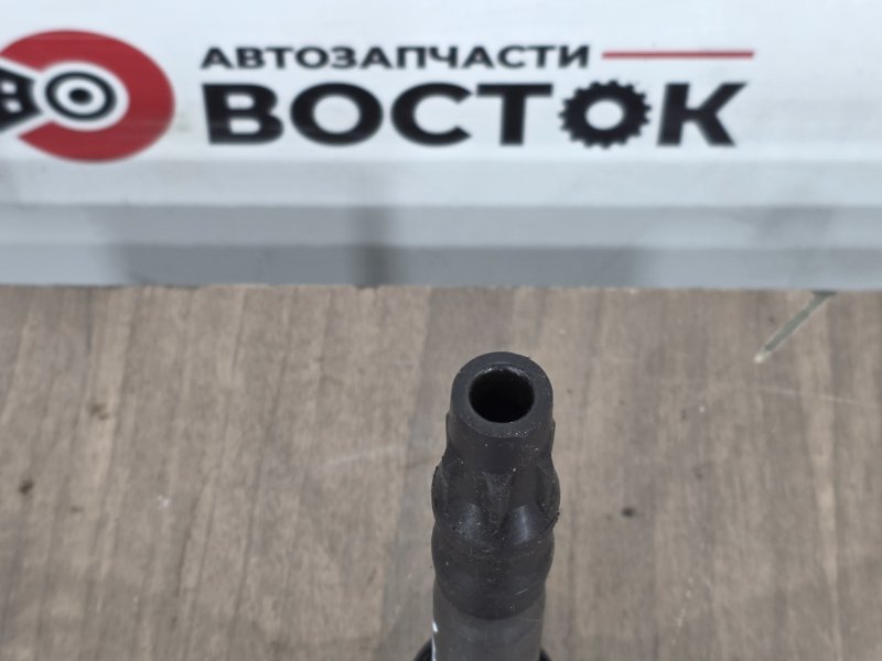 Катушка зажигания, 1000 рублей, Пешки