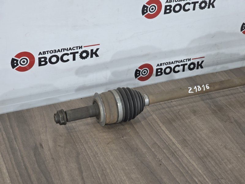 Привод, 2500 рублей, Пешки