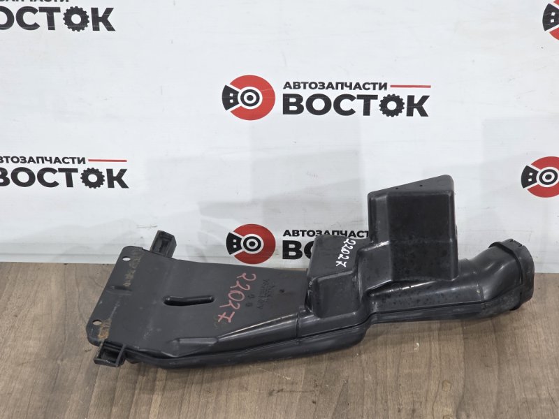 Воздухозаборник, 2000 рублей, Пешки
