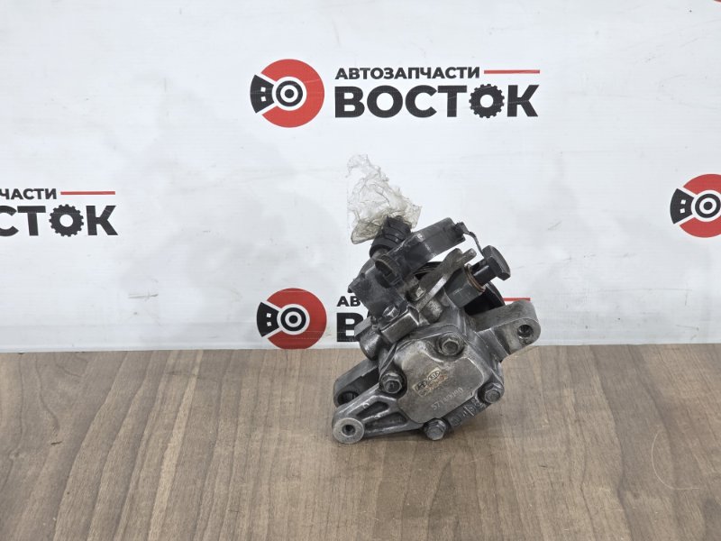 Насос гур, 4000 рублей, Пешки