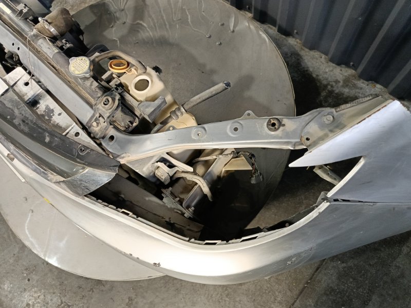 Nose cut, 42600 рублей, Красноярск