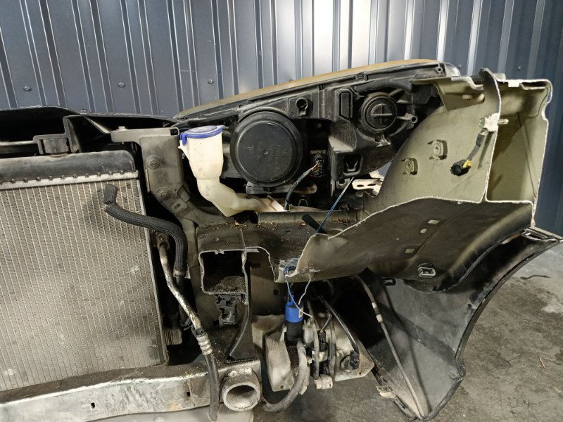 Nose cut, 55200 рублей, Красноярск