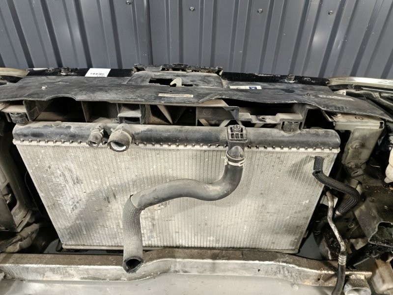 Nose cut, 55200 рублей, Красноярск