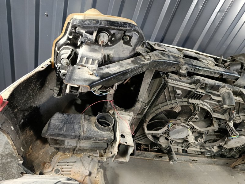 Nose cut, 69000 рублей, Красноярск