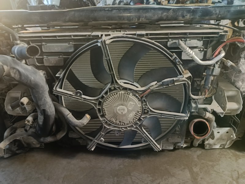 Nose cut, 100000 рублей, Красноярск