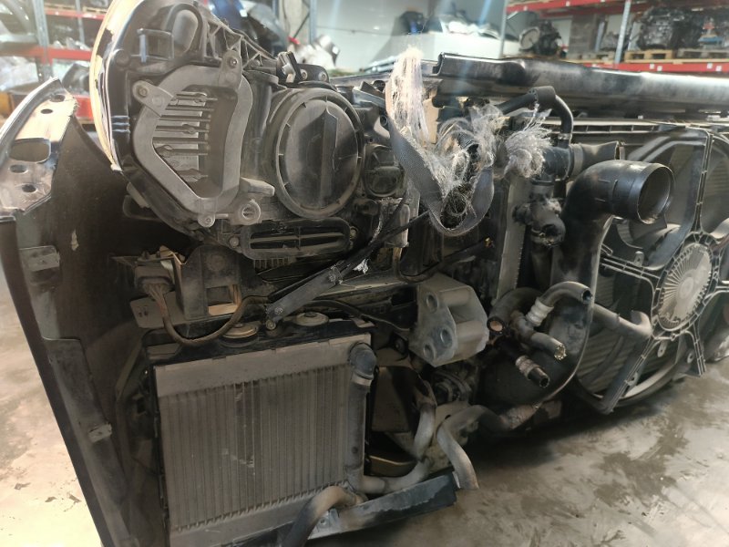 Nose cut, 100000 рублей, Красноярск