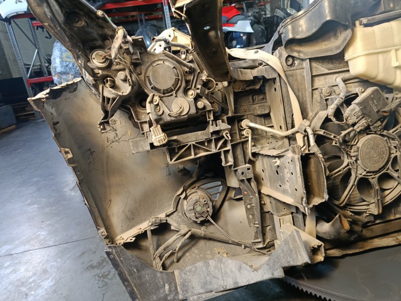 Nose cut, 207000 рублей, Красноярск