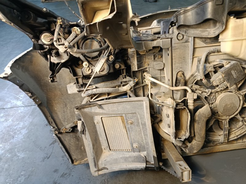 Nose cut, 210000 рублей, Красноярск